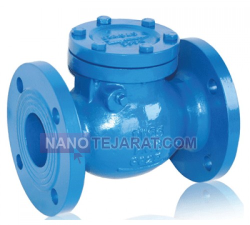 Check Valve